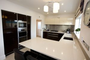chestnut shadwell 33 sm.jpg